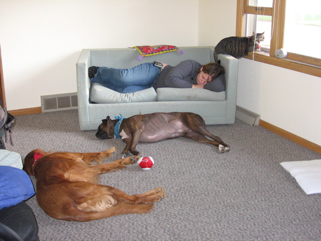 Nap time