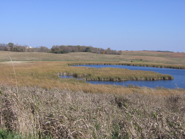 Wetlands