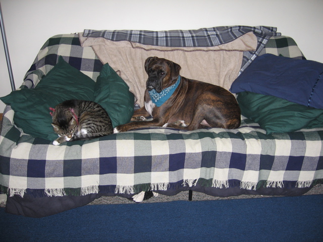George and Puck