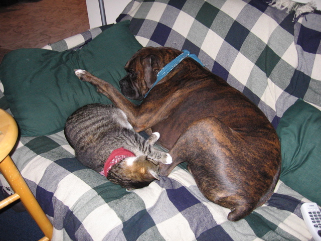 George and Puck
