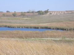 Stevens County Wetlands