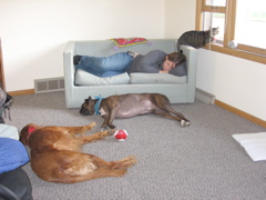 Nap time