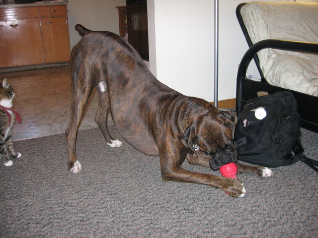 Puck