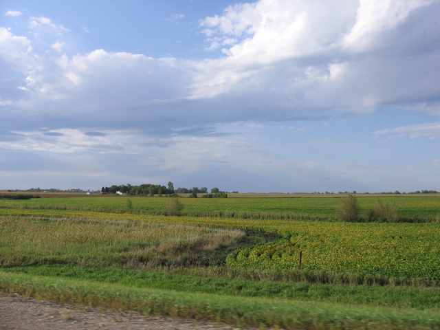 Morris scenery