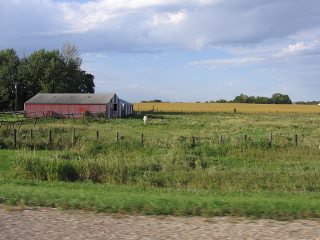 Barn just outside Morris