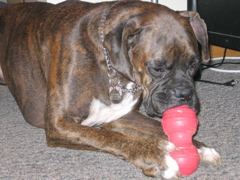 Puck