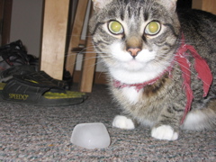 George, trying some ice