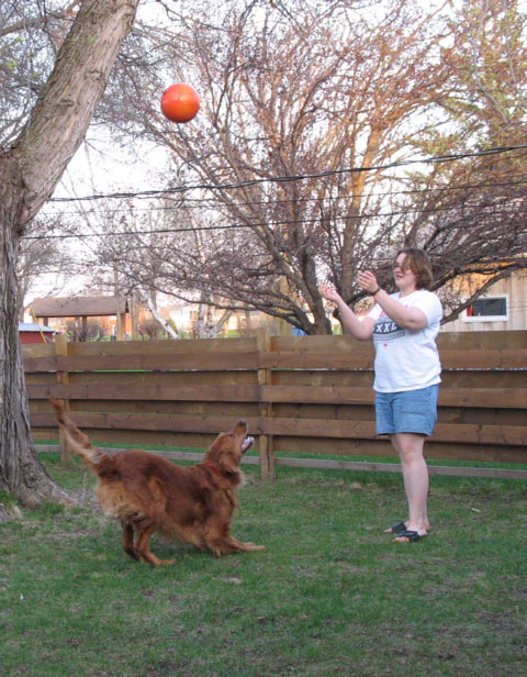 A pretty good action shot