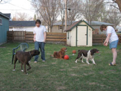 (Left to right) Puck, Chris, Nigel, Jessie, Liz