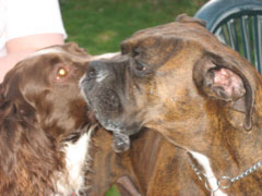 A slightly embarassing picture of Puck and Jessie