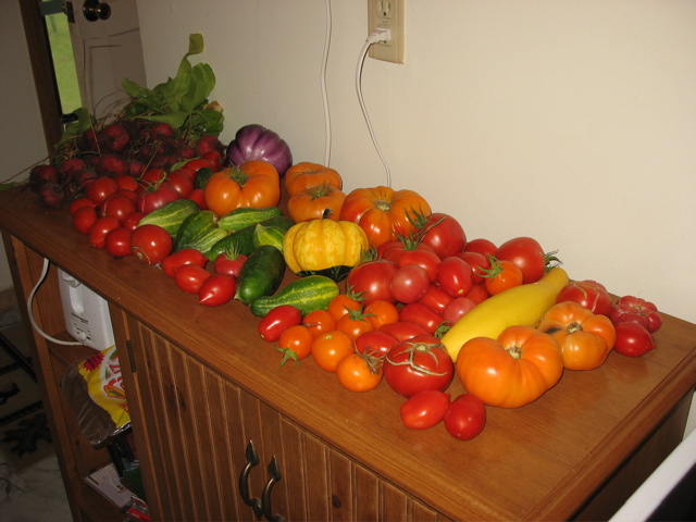 August 27 vegetable harvest (all ours!)