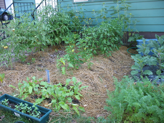 Front garden