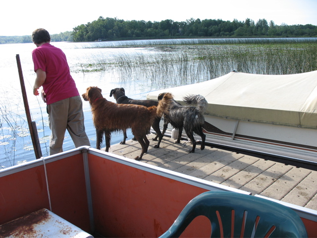 Nigel, Puck and Shadow