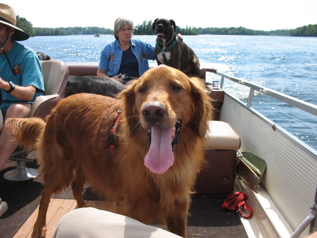 Nigel loves boat rides.