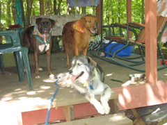The guys