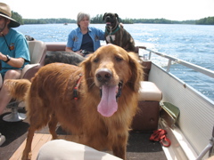 Nigel loves boat rides.