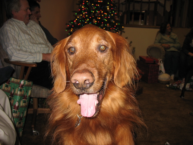 Christmas