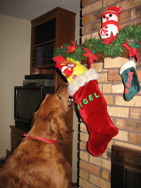 Nigel loves Christmas