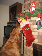 Nigel loves Christmas