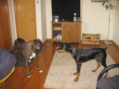 Puck and Oberon