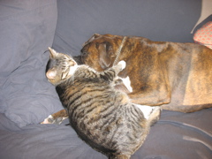 George and Puck