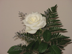Chris gave me a white rose for Valentine's Day