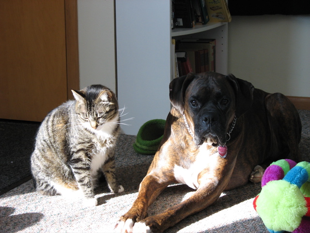 George and Puck