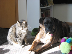 George and Puck