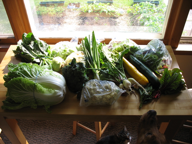 Easy Bean Food Share - June 27