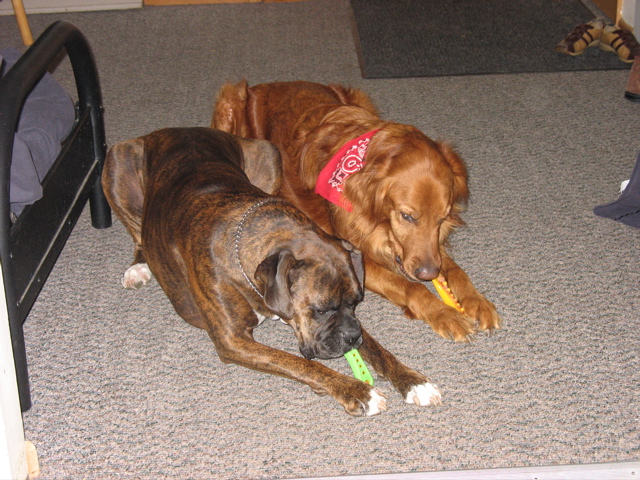 Puck and Nigel