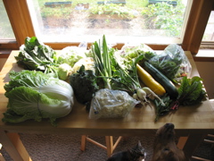 Easy Bean Food Share - June 27