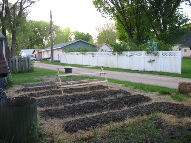 Back Garden