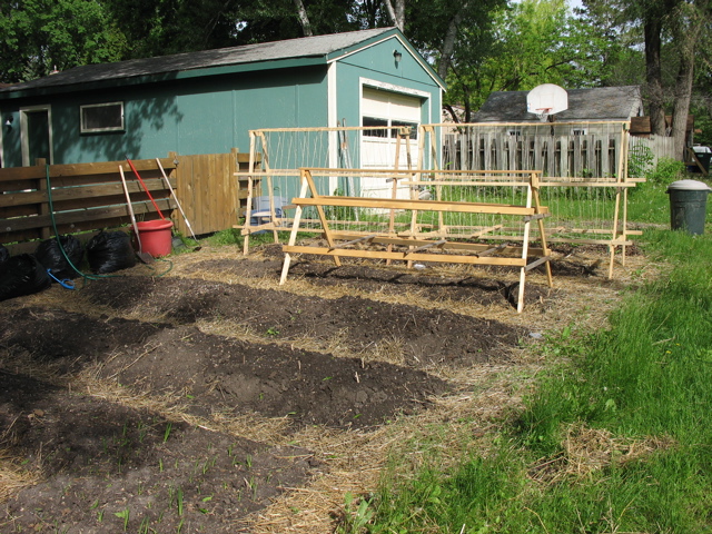 Back Garden - May 27