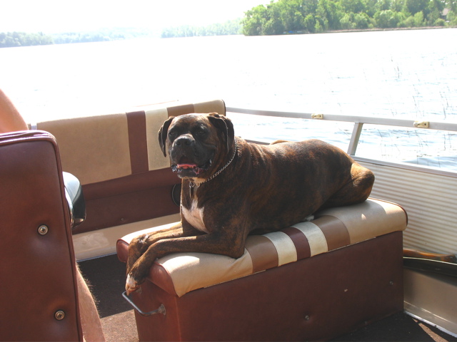 Puck's boat station