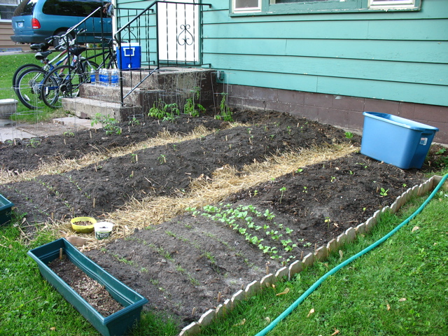 May 31: Garden Planted!