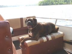 Puck's boat station