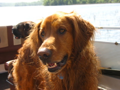 Nigel on the boat