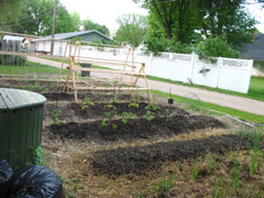 May 31: Garden Planted!