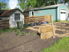 Back Garden