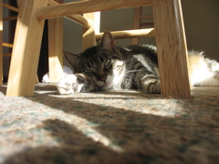 George