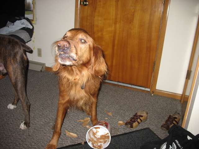 Peanut Butter!