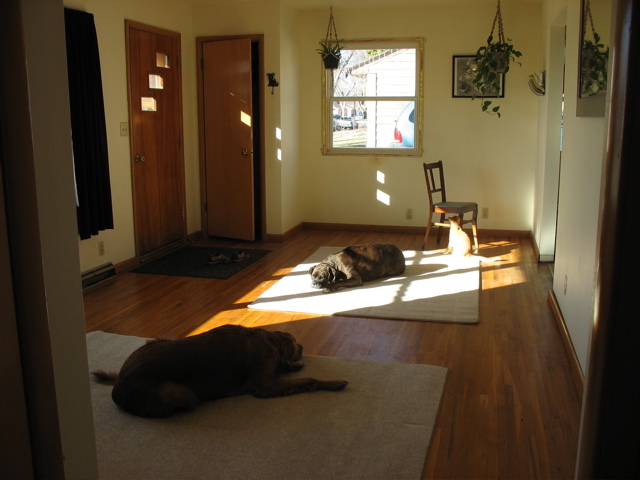 We didn't put in the carpet after all!