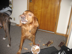 Peanut Butter!