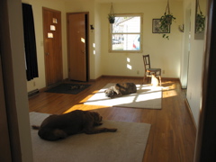 We didn't put in the carpet after all!