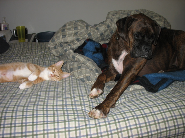 Niko and Puck