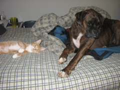Niko and Puck