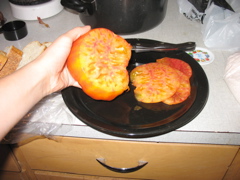 Giant Heirloom Tomato