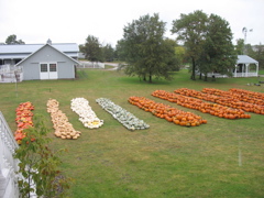My uncle's farm
