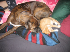 Puck and Niko