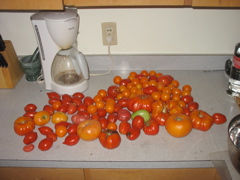 More garden harvest